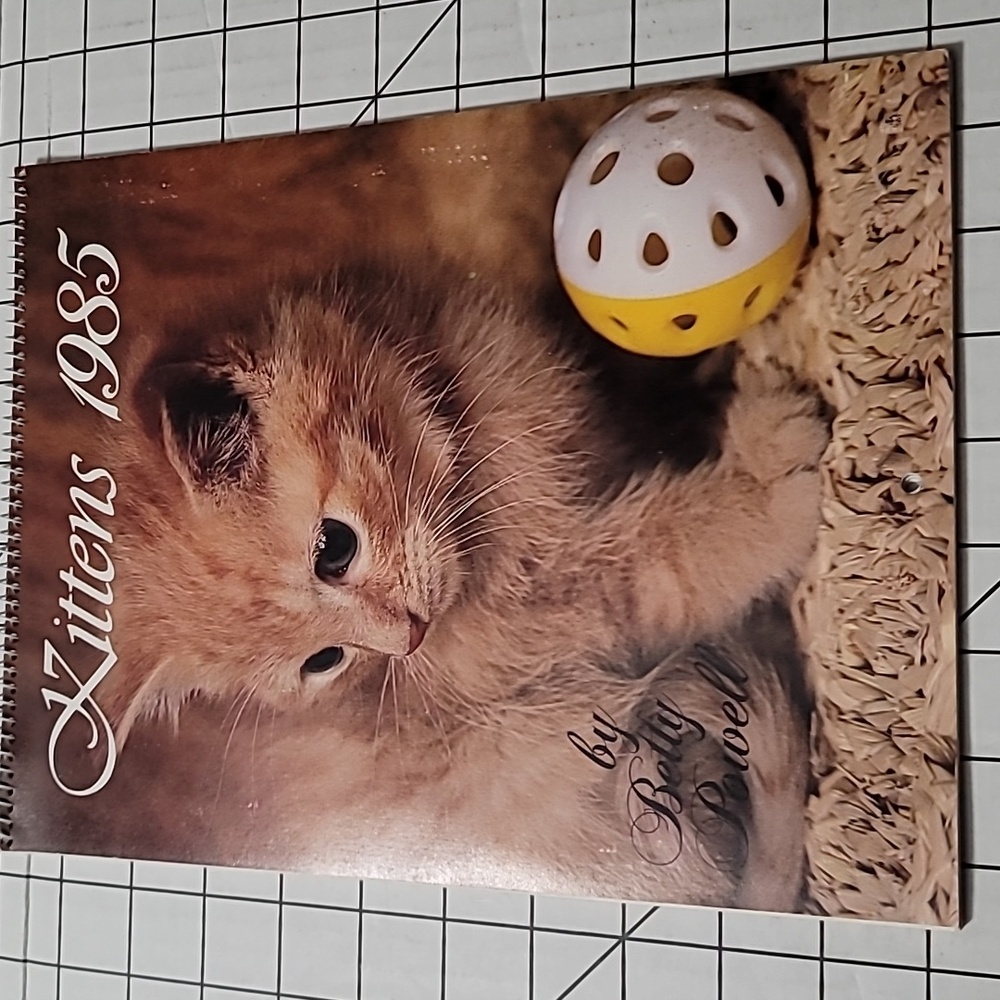 1985 Kittens‎ Calendar by Betty Powell - Vintage